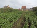 Продажа садового участка: г. Ревда, СТ Мечта-2 (городской округ Ревда) - Фото 6