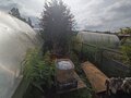 Продажа садового участка: г. Ревда, СТ Мечта-2 (городской округ Ревда) - Фото 7