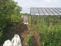 Продажа садового участка: г. Ревда, СТ Мечта-2 (городской округ Ревда) - Фото 8