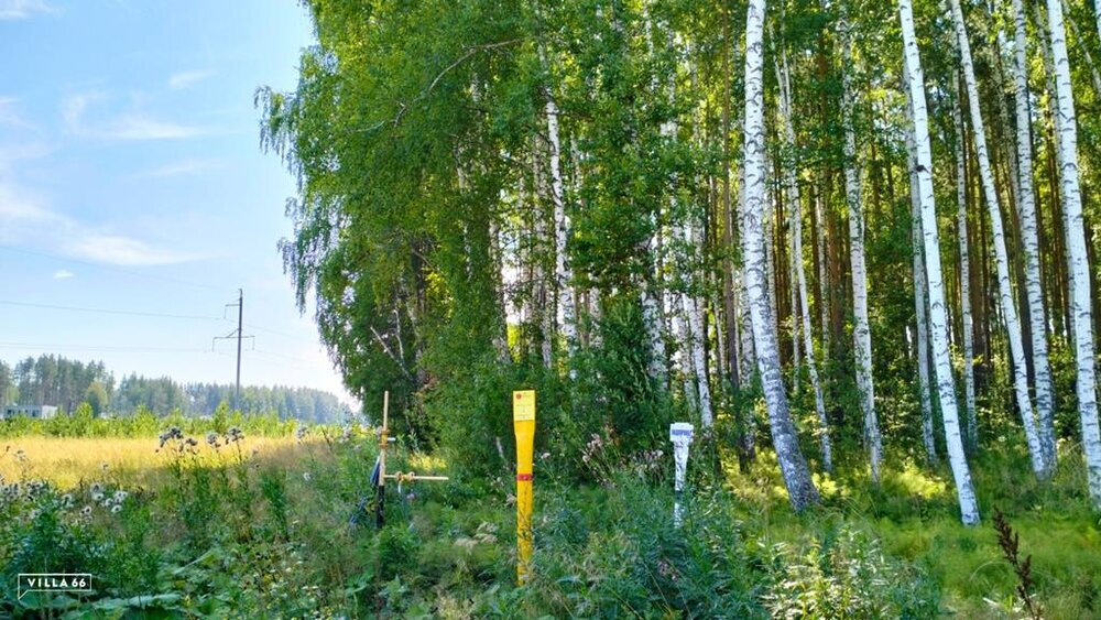 к.п. Заповедник, ул. Заповедник, 71К (городской округ Сысертский, п. Габиевский) - фото земельного участка (6)