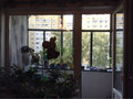 Продажа квартиры: Екатеринбург, ул. Курганская, 3 (Лечебный) - Фото 4