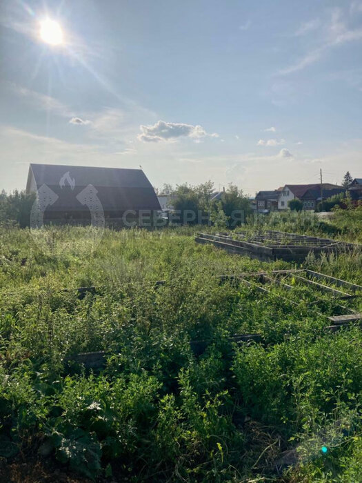 г. Невьянск, ул. Лассаля (городской округ Невьянский) - фото земельного участка (1)