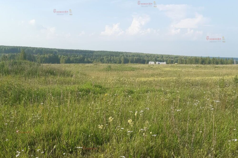 п. Становая, ул. Шиловский, 16, 17 (городской округ Березовский) - фото земельного участка (3)
