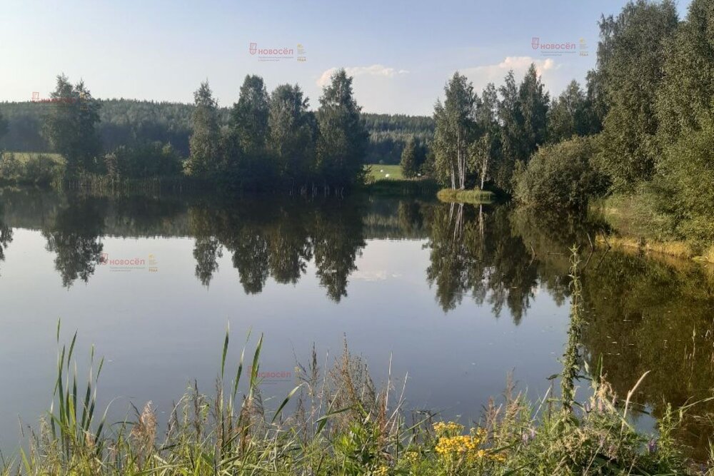 п. Становая, ул. Шиловский, 16, 17 (городской округ Березовский) - фото земельного участка (5)