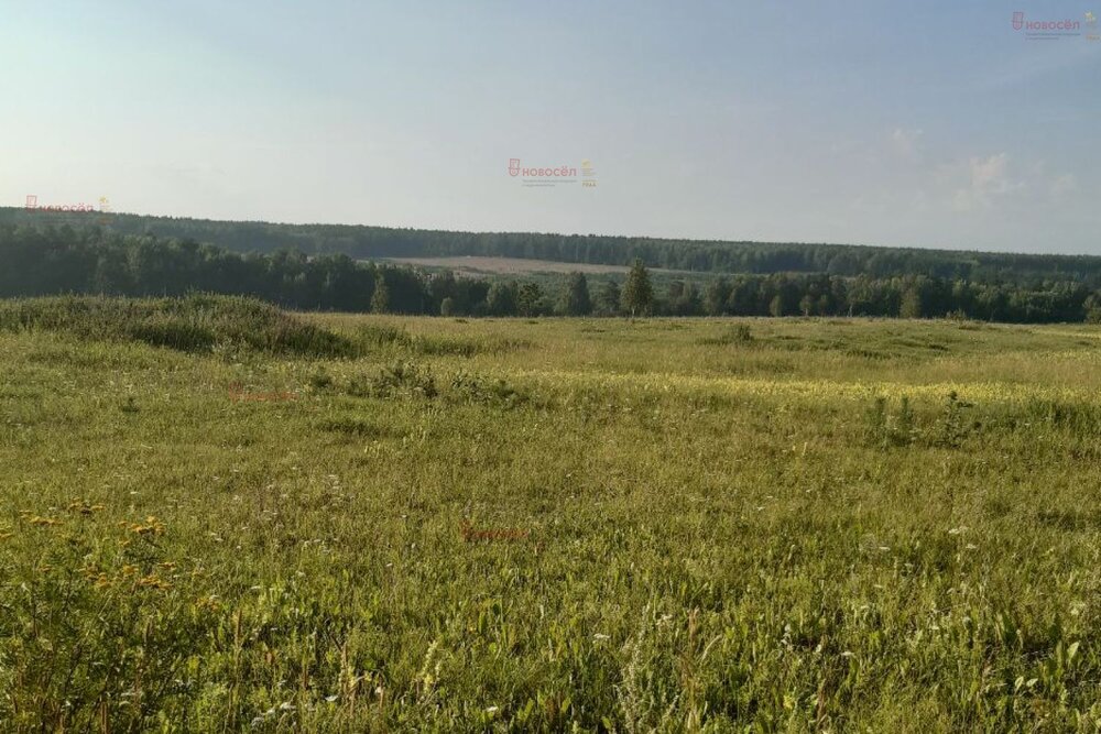 п. Становая, ул. Шиловский, 16, 17 (городской округ Березовский) - фото земельного участка (6)