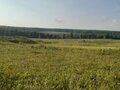 Продажа земельного участка: п. Становая, ул. Шиловский, 16, 17 (городской округ Березовский) - Фото 6
