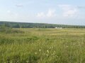 Продажа земельного участка: п. Становая, ул. Шиловский, 16, 17 (городской округ Березовский) - Фото 2