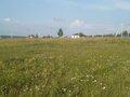 Продажа земельного участка: п. Становая, ул. Шиловский, 16, 17 (городской округ Березовский) - Фото 3