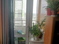 Продажа квартиры: г. Верхняя Пышма, ул. Орджоникидзе, 11 (городской округ Верхняя Пышма) - Фото 7