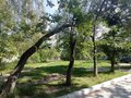 Продажа квартиры: Екатеринбург, ул. Кировградская, 63/а (Уралмаш) - Фото 6