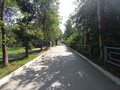 Продажа квартиры: Екатеринбург, ул. Кировградская, 63/а (Уралмаш) - Фото 7