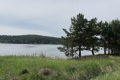 г. Сысерть, ул. Рабочей Молодежи, 56 (городской округ Сысертский) - фото земельного участка