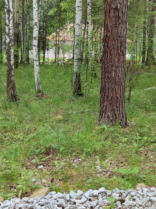 п. Острова, городской округ Белоярский, Тюменское направление, 29, ул. Фиджи, 5 (городской округ Белоярский) - фото земельного участка (6)