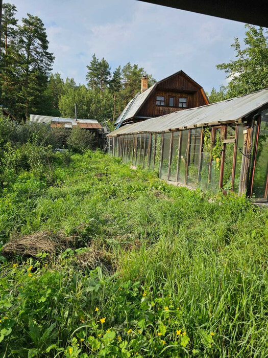 Екатеринбург, Серебряный Родник (Карасьеозерск) - фото сада (1)