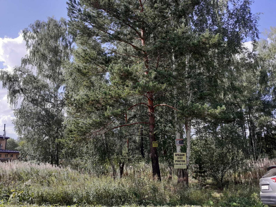 п. Ледянка, ул. Советская, 28 (городской округ Ревда) - фото земельного участка (3)