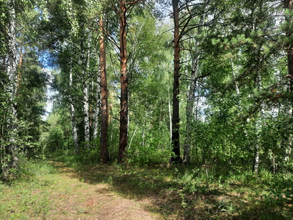 п. Ледянка, ул. Советская, 28 (городской округ Ревда) - фото земельного участка (4)
