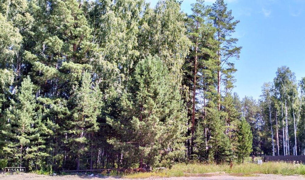 к.п. Заповедник, ул. Заповедник, 114К (городской округ Сысертский, п. Габиевский) - фото земельного участка (6)