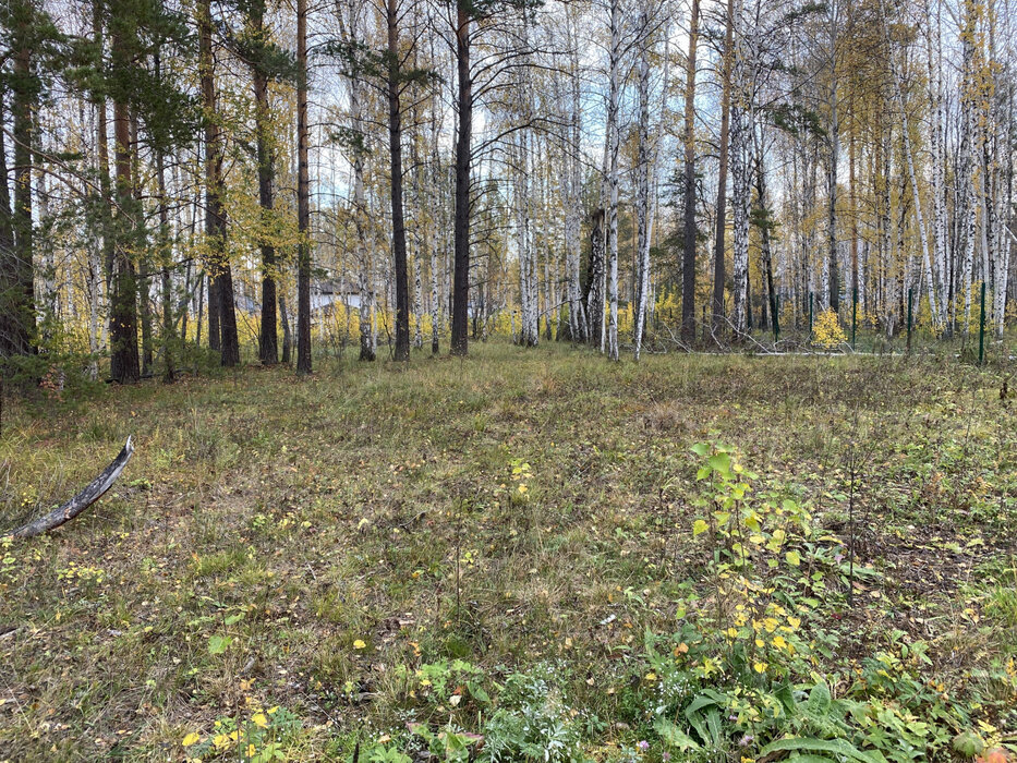 к.п. Заповедник, ул. Косуля, 107 (городской округ Сысертский, п. Габиевский) - фото земельного участка (1)