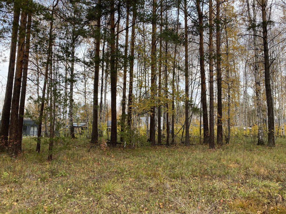 к.п. Заповедник, ул. Косуля, 107 (городской округ Сысертский, п. Габиевский) - фото земельного участка (3)