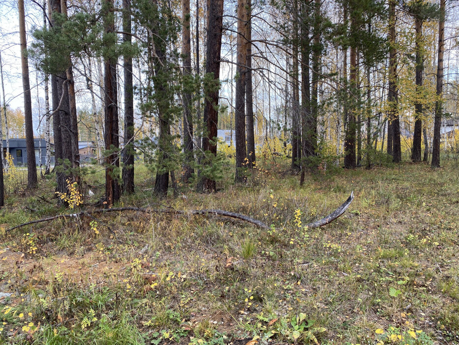 к.п. Заповедник, ул. Косуля, 107 (городской округ Сысертский, п. Габиевский) - фото земельного участка (4)