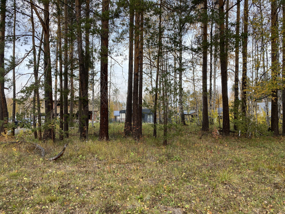 к.п. Заповедник, ул. Косуля, 107 (городской округ Сысертский, п. Габиевский) - фото земельного участка (6)