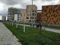 Аренда квартиры: Екатеринбург, ул. Академика Сахарова, 31б (Академический) - Фото 8