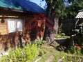Продажа садового участка: г. Ревда, СОТ СУМЗ-6 (городской округ Ревда) - Фото 2