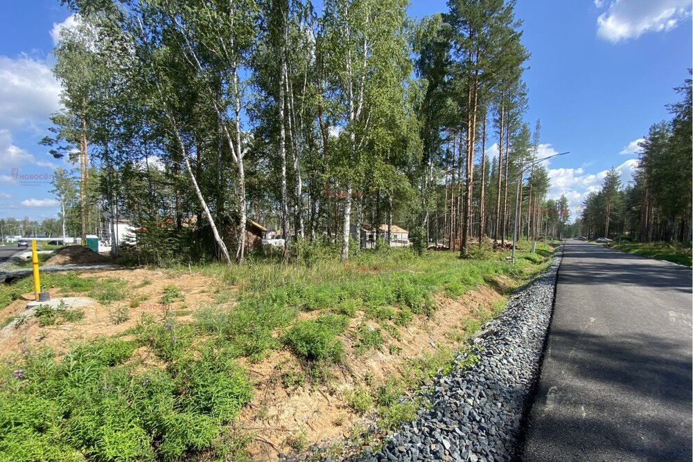 к.п. Заповедник, ул. Ласточка, 24 (городской округ Сысертский, п. Габиевский) - фото земельного участка (3)