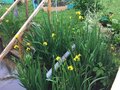 Продажа дома: п. Шахты, ул. Сосновая, 5 (городской округ Верхняя Пышма) - Фото 8