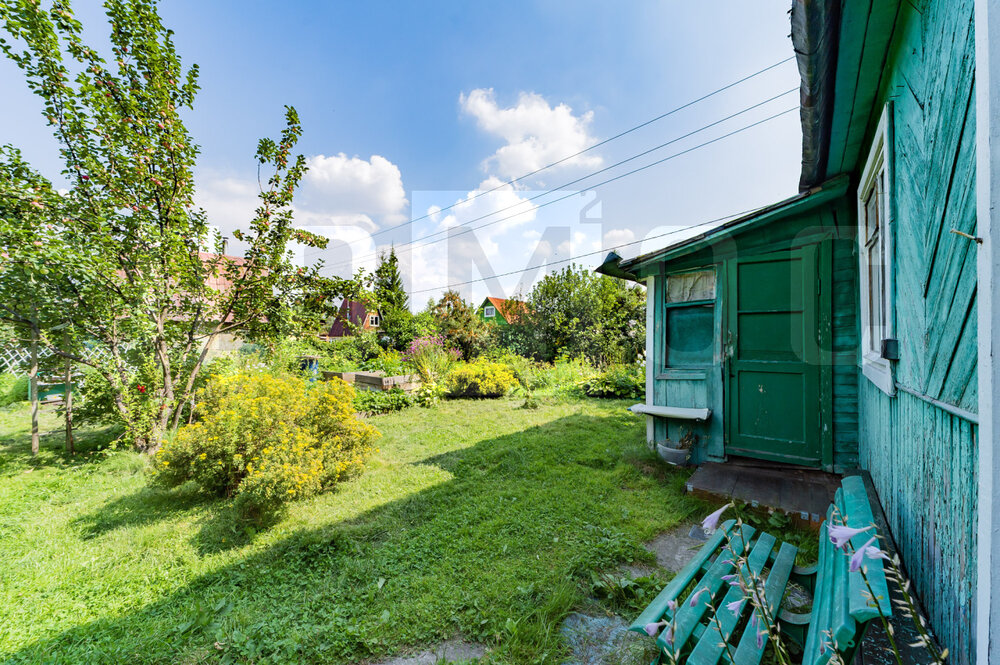 Екатеринбург, СНТ Дубрава (Широкая речка) - фото сада (4)