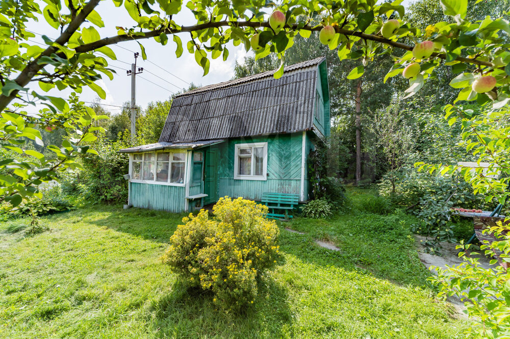 Екатеринбург, СНТ Дубрава (Широкая речка) - фото сада (5)