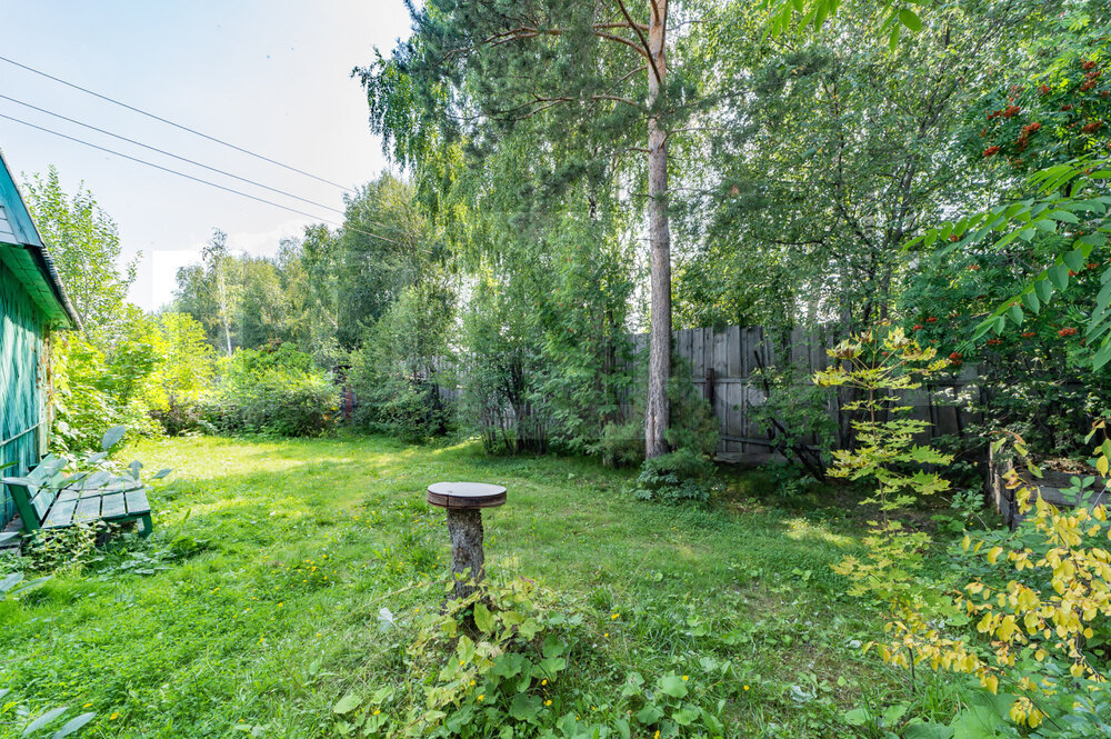 Екатеринбург, СНТ Дубрава (Широкая речка) - фото сада (7)