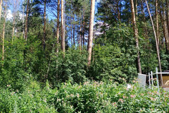 Екатеринбург, ул. Хоровой - фото земельного участка