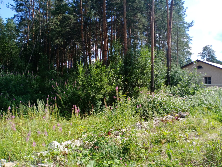 Екатеринбург, ул. Хоровой - фото земельного участка (3)