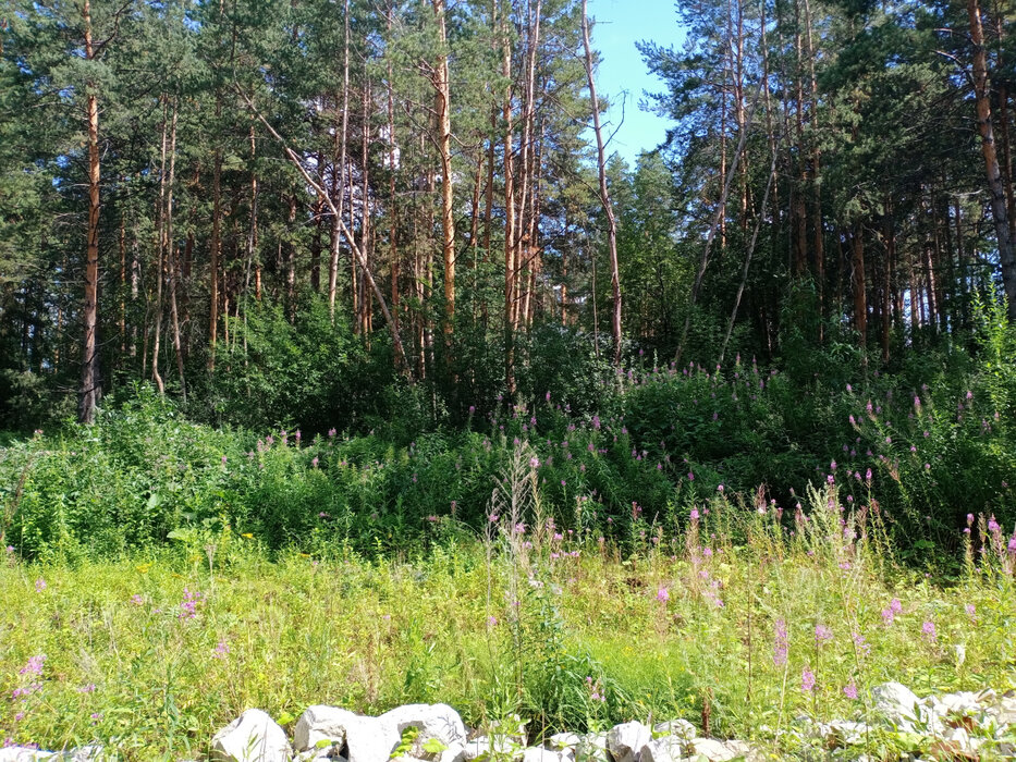 Екатеринбург, ул. Хоровой - фото земельного участка (4)