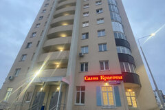 Екатеринбург, ул. Чкалова, 256 (Академический) - фото квартиры