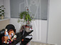Продажа офиса: Екатеринбург, ул. Радищева, 6 А (Центр) - Фото 4