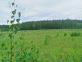Продажа земельного участка: д. Токарево (городской округ Сысертский) - Фото 6