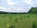 Продажа земельного участка: д. Токарево (городской округ Сысертский) - Фото 7