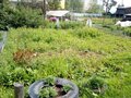 Продажа квартиры: п. Монетный, ул. Комсомольская, 16 (городской округ Березовский) - Фото 4