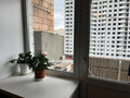 Продажа квартиры: Екатеринбург, ул. Татищева, 77 (ВИЗ) - Фото 5