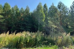 к.п. Заповедник, ул. Ласточка, 7 (городской округ Сысертский, п. Габиевский) - фото земельного участка
