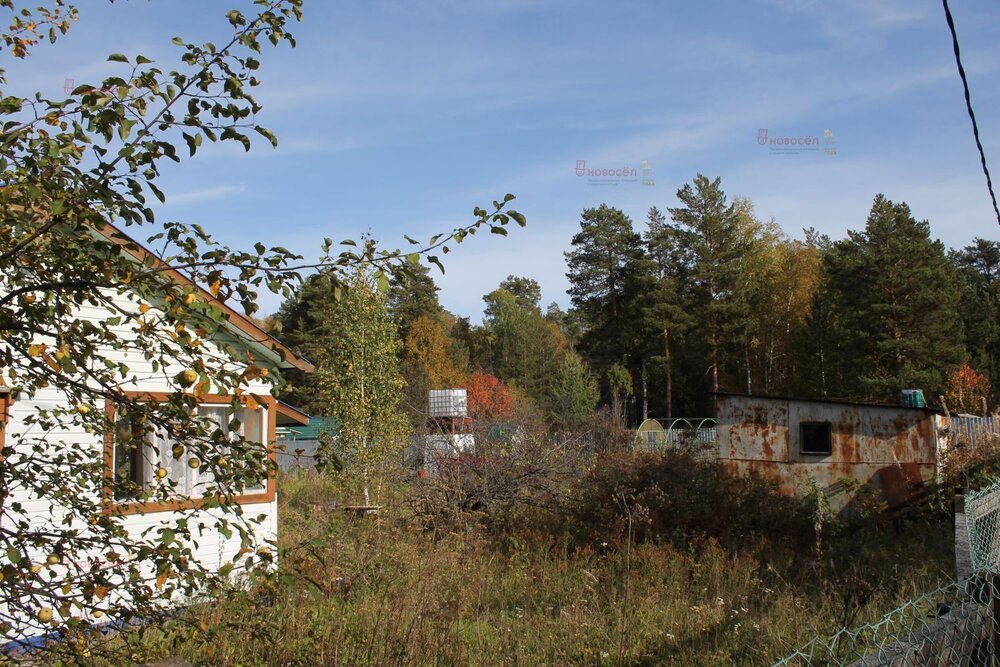 с. Курганово, СНТ Горняки (городской округ Полевской) - фото сада (4)