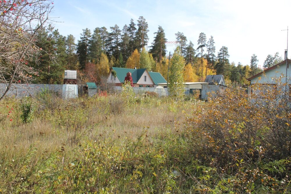 с. Курганово, СНТ Горняки (городской округ Полевской) - фото сада (6)