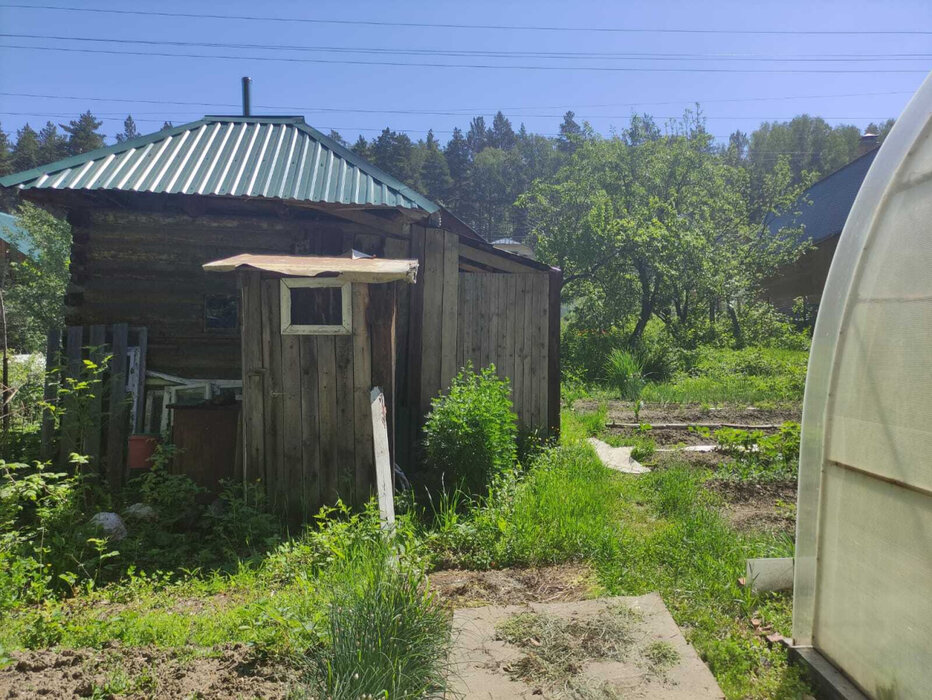 Екатеринбург, СНТ Родонит, уч. 52 - фото сада (2)