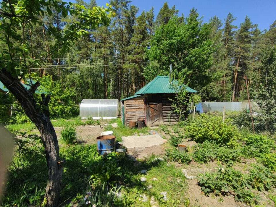 Екатеринбург, СНТ Родонит, уч. 52 - фото сада (7)