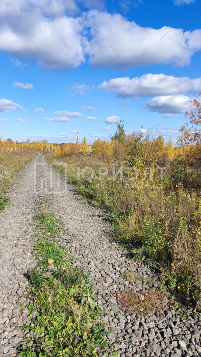 г. Нижний Тагил, ул. Партизанская, 15 (городской округ Нижний Тагил) - фото земельного участка (4)