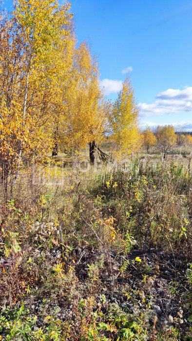 г. Нижний Тагил, ул. Партизанская, 15 (городской округ Нижний Тагил) - фото земельного участка (5)