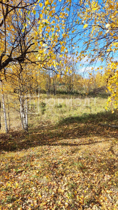 г. Нижний Тагил, ул. Партизанская, 15 (городской округ Нижний Тагил) - фото земельного участка (6)
