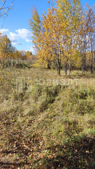 г. Нижний Тагил, ул. Партизанская, 15 (городской округ Нижний Тагил) - фото земельного участка (8)